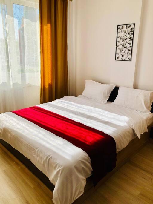 Joy City Stay Victoriei 7G-9 Timisoara Luaran gambar