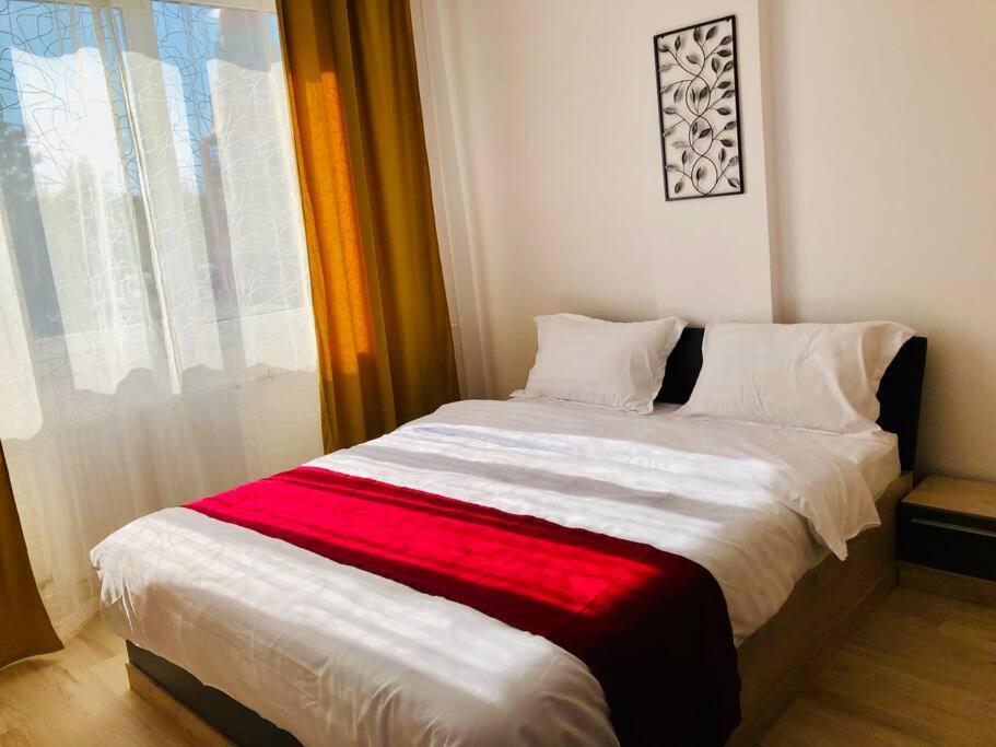 Joy City Stay Victoriei 7G-9 Timisoara Luaran gambar